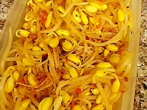 豆もやしの牡蠣だし中華風味